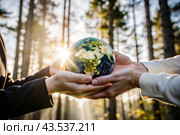 Female and male hands hold a small model of the Earth. Revival. Caring for the planet, ecological awareness and the unity of people in nature conservation. Стоковое AI-изображение, AI-художник Photojuli / Фотобанк Лори