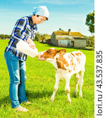 Female employee feeding newborn calf on grass pasture. Стоковое фото, фотограф Татьяна Яцевич / Фотобанк Лори