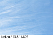 Abstract view of a white feather clouds in light blue sky as background. Стоковое фото, фотограф Михаил Строгалев / Фотобанк Лори