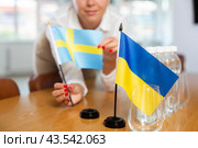 Unrecognizable girl sets midget flags of Ukraine and Sweden before international negotiations. Стоковое фото, фотограф Яков Филимонов / Фотобанк Лори