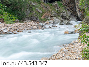 Река с чистой водой вытекает из горного ущелья. Экологически чистая вода стекает с ледника в горах. Природа в горах. Вид на горную реку летом. Стоковое фото, фотограф Эдуард Белкин / Фотобанк Лори