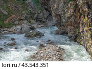 Река с чистой водой вытекает из горного ущелья. Экологически чистая вода стекает с ледника в горах. Природа в горах. Вид на горную реку летом. Стоковое фото, фотограф Эдуард Белкин / Фотобанк Лори