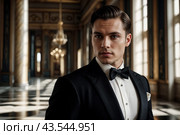 Portrait of handsome young man in tuxedo and bow tie at luxury palace, serious looking at camera. Confident stylish guy businessman in tux. Fashionable festive image concept. Copy ad text space. Стоковое AI-изображение, AI-художник Aleksandr Golubev / Фотобанк Лори