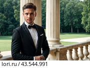 Portrait of handsome young man in tuxedo and bow tie at luxury palace, serious looking at camera. Confident stylish guy businessman in tux. Fashionable festive image concept. Copy ad text space. Стоковое AI-изображение, AI-художник Aleksandr Golubev / Фотобанк Лори