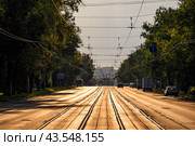 Улица города с трамвайными путями ранним утром, залитая золотым светом Солнца (2024 год). Редакционное фото, фотограф Илья Старков / Фотобанк Лори