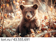 A cute little bear cub sitting among the autumn yellow foliage. Animal hunting. Poaching. Стоковое AI-изображение, AI-художник Photojuli / Фотобанк Лори