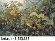 Bush with berries covered with raindrops. The berries, transparent and shiny, hang from the branches, creating an atmosphere of freshness and moisture. The leaves of the plant are also covered with drops of water, giving the painting the feeling of morning dew or recent rain. The background of the image is blurred, which allows you to focus on the details of the bush and its berries. Стоковое AI-изображение, AI-художник Анна Кривицкая / Фотобанк Лори