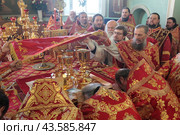 Митрополит Ювеналий и епископы Московской епархии в храме Тихвинской иконы Божией Матери Коломны (2018 год). Редакционное фото, фотограф Дмитрий Неумоин / Фотобанк Лори