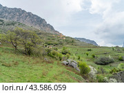 Эгикхал. Село в Ингушетии. (2024 год). Стоковое фото, фотограф Константин Яковлев / Фотобанк Лори