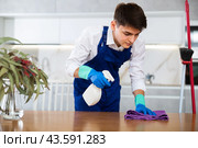 Professional cleaner cleans and dusts the furniture in room. Стоковое фото, фотограф Яков Филимонов / Фотобанк Лори