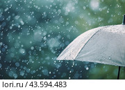 Rain Drops on Umbrella. Стоковое AI-изображение, AI-художник Юлия Гапеенко / Фотобанк Лори