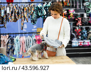 Female owner of Yorkie looking for canine clothing in pet store. Стоковое фото, фотограф Яков Филимонов / Фотобанк Лори