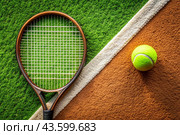 A yellow tennis ball and a tennis racket are lying on the lawn. A summer sport. Great tennis. Стоковое AI-изображение, AI-художник Photojuli / Фотобанк Лори