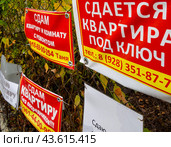 Предложения о сдаче квартир на заборах города Кисловодск (2023 год). Редакционное фото, фотограф Вячеслав Палес / Фотобанк Лори