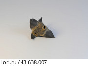 Водяной орех (чилим, рогульник плавающий, лат. Trapa natans), плод крупным планом. Стоковое фото, фотограф Татьяна Костенко / Фотобанк Лори