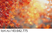 Sunny autumn day with beautiful orange fall foliage in the park. Ground covered in dry fallen leaves lit by bright sunlight. Autumn landscape with maple trees and sun. Natural background. Стоковое AI-видео, аниматор Ирина Михайличенко / Фотобанк Лори