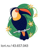 Toucan among the branches. Tropical jungle bird. Design element for postcards, banners, textiles, and room decor. Стоковая иллюстрация, иллюстратор KOSIM / Фотобанк Лори