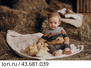 Ребенок мальчик сидит на сене с утятами. Стоковое фото, фотограф Вереницына Юлия / Фотобанк Лори