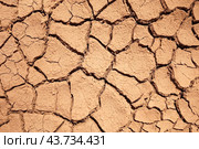Текстура растрескавшейся земли, освещенной солнцем. Sunlit Cracked Earth Texture. Стоковое фото, фотограф Татьяна Д / Фотобанк Лори