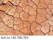 Текстура растрескавшейся земли, освещенной солнцем. Sunlit Cracked Earth Texture. Стоковое фото, фотограф Татьяна Д / Фотобанк Лори