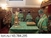 Епископ Балашинский и Орехово-Зуевский Николай на литургии в престольный праздник Серафимовского храма Балашихи (2024 год). Редакционное фото, фотограф Дмитрий Неумоин / Фотобанк Лори