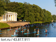 Сапсерфинг, раннее утро, Санкт-Петербург (2024 год). Редакционное фото, фотограф Головкова Елена / Фотобанк Лори