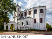 Кармелитский костёл (Костёл Вознесения Девы Марии). Мстиславль, Могилевская область. Беларусь (2024 год). Стоковое фото, фотограф Сергей Афанасьев / Фотобанк Лори