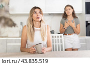 Middle-aged woman sitting at the table while a girl is disputing with her standing behind. Стоковое фото, фотограф Яков Филимонов / Фотобанк Лори