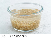 Soaking brown rice cereal in water to ferment cereals and neutralize phytic acid. Стоковое фото, фотограф Natalia Gdovskaia / Фотобанк Лори