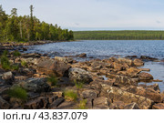 Онежское озеро, Республика Карелия, Россия. Красивый летний озёрный пейзаж. На переднем плане каменистый берег озера. Вдали лес. Путешествия и отдых летом на природе. Стоковое фото, фотограф Андрей Степанов / Фотобанк Лори