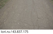 Uneven asphalt, crushed stone-mastic layer, road, holes не ровный асфальт, щебеночный-мастичный слой,  дорога, ямы. Стоковое видео, видеограф Опока Алексей / Фотобанк Лори