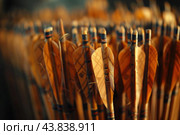 Traditional archery arrows with fletching. Стоковое AI-изображение, AI-художник Иван Рябоконь / Фотобанк Лори