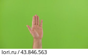 Waving Hand Emoji. Man Gesturing Hello, Hi, Bye. Male Hand Showing Sign of Greeting or Goodbye. Isolate Chroma Key Green Screen Background. Body Language. Close Up. Isolated Emoticon Gesture. Saluting. Стоковое видео, видеограф Марина Демидюк / Фотобанк Лори