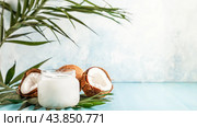Coconut oil and coconuts on a bright pastel background. Стоковое фото, фотограф Татьяна  Бральнина / Фотобанк Лори