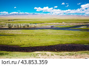 В долине реки Юстыт. Кош-Агачский район горного Алтая. Западная Сибирь. Стоковое фото, фотограф Евгений Мухортов / Фотобанк Лори