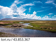В долине реки Юстыт. Кош-Агачский район горного Алтая. Западная Сибирь. Стоковое фото, фотограф Евгений Мухортов / Фотобанк Лори