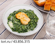Chicken breast with spinach in bechamel sauce close up. Стоковое фото, фотограф Яков Филимонов / Фотобанк Лори