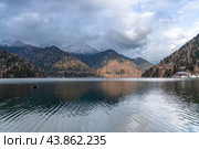Blue lake in the mountains.Lake Ritsa Abkhazia. Стоковое фото, фотограф Ольга Сейфутдинова / Фотобанк Лори