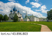 Архитектурный комплекс Суздальского кремля (2024 год). Стоковое фото, фотограф Олег Пученков / Фотобанк Лори