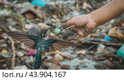 A Child Feeding a Beautiful Kingfisher Bird Amidst a Littered Urban Environment. Стоковое AI-изображение, AI-художник Сергей Толмачёв / Фотобанк Лори