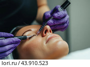 Skilled Aesthetician Performing Microneedling Treatment on Client's Face in Spa Setting. Стоковое AI-изображение, AI-художник Сергей Толмачёв / Фотобанк Лори