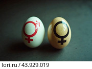 Gender symbols on chicken eggs : the female sign and the sign of intersexuality. The concept of gender self-determination.  AI generative. Стоковое AI-изображение, AI-художник Роман Дзюбало / Фотобанк Лори