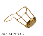 Musle wire stopper holder for sparkling wines, isolated on a white background. Стоковое фото, фотограф ~✿Eлена Челышева(Кочина)✿~ / Фотобанк Лори