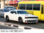 Dodge Challenger (2024 год). Редакционное фото, фотограф Art Konovalov / Фотобанк Лори