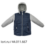 Warm jacket isolated. Стоковое фото, фотограф Андрей Армягов / Фотобанк Лори