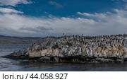 A large colony of cormorants settled on a rocky island in the ocean. A lot of seabirds are sitting on the cliff, flying. Mountains in the distance. Blue sky, clouds. Argentina. The Beagle Channel. Стоковое фото, фотограф Вера Ивановна Кубарева / Фотобанк Лори