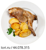 Lunch is served on plate - pieces of young rabbit cooked with segments of potato. Close-up. Стоковое фото, фотограф Яков Филимонов / Фотобанк Лори