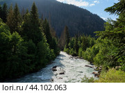 View of the Klukhor River near the Kosygin glade (Buulu Tala) in the Gonachkhir Gorge Dombai on a sunny summer day, Dombai, Karachay-Cherkessia, Russia. Стоковое фото, фотограф Ula Ulachka / Фотобанк Лори