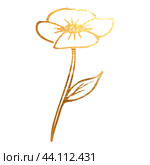 Golden branch, twig, flower,  floral ornament, frame. Стоковая иллюстрация, иллюстратор Наталия Бурма / Фотобанк Лори