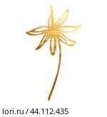 Golden branch, twig, flower,  floral ornament, frame. Стоковая иллюстрация, иллюстратор Наталия Бурма / Фотобанк Лори